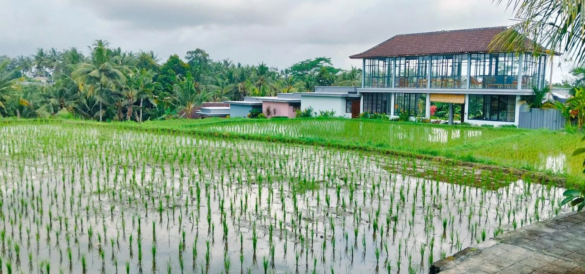 Srijaya Ubud By Shm Penzion