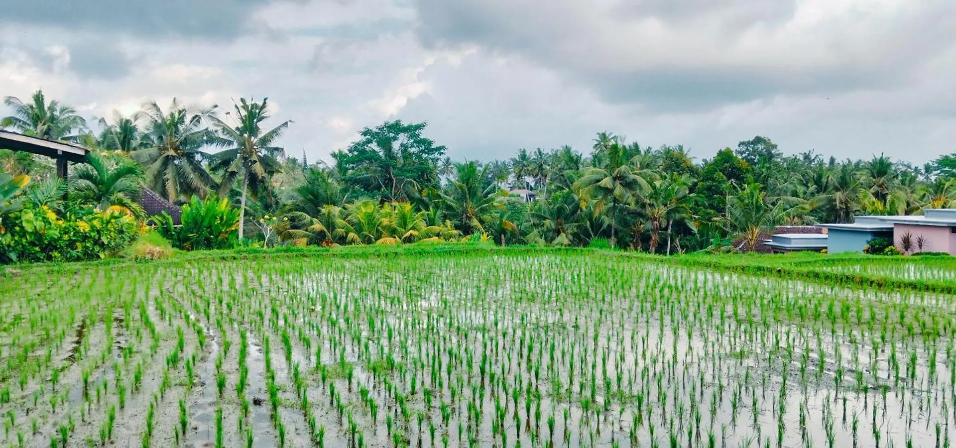 Srijaya Ubud By Shm